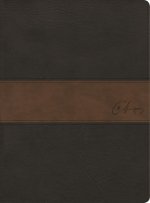Rvr 1960 Biblia de Estudio Spurgeon, Negro/Marrón Símil Piel