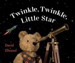 Twinkle Twinkle Little Star: David Ellwand's Bears