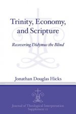 Trinity, Economy, and Scripture