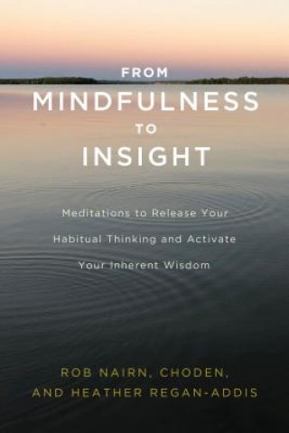 From Mindfulness to Insight