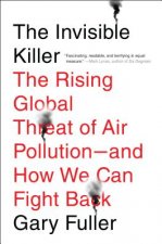 The Invisible Killer: The Rising Global Threat of Air Pollution- And How We Can Fight Back