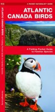 Atlantic Canada Birds