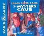 The Mystery Cave (Library Edition)