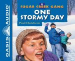 One Stormy Day (Library Edition)