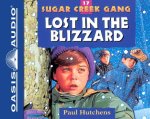 Lost in the Blizzard (Library Edition)
