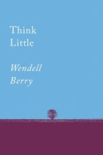 Think Little
