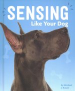 Sensing Like Your Dog