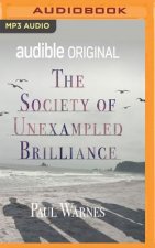 SOCIETY OF UNEXAMPLED BRILLIANCE THE