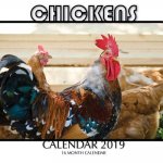 Chickens Calendar 2019: 16 Month Calendar