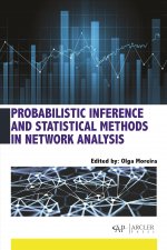 Probabilistic Inference and Statistical Methods in Network Analysis