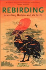 Rebirding