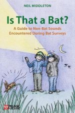 Is That a Bat?