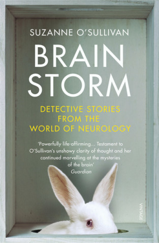 Brainstorm (Suzanne O'Sullivan)(Miękka)
