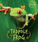 From Tadpole to Frog