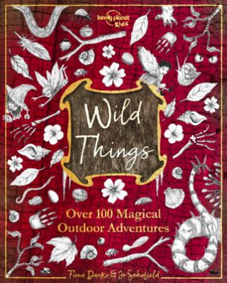 Lonely Planet Kids Wild Things 1