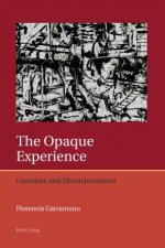 Opaque Experience