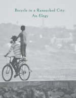 Bicycle in a Ransacked City: An Elegy