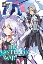 Asterisk War, Vol. 10 (light novel)