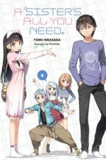 Sister's All You Need., Vol. 4 (light novel)