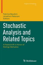 Stochastic Analysis and Related Topics