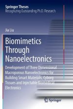 Biomimetics Through Nanoelectronics
