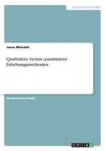 Qualitative versus quantitative Erhebungsmethoden
