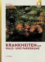 Krankheiten der Wald- und Parkbäume