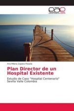 Plan Director de un Hospital Existente