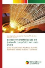 Estudo e caracterizacao de junta de composito em meio acido