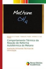 Comportamento Termico da Reacao de Reforma Autotermica do Metano