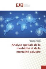 Analyse spatiale de la morbidité et de la mortalité palustre