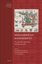 Mesoamerican Manuscripts: New Scientific Approaches and Interpretations