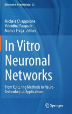 In Vitro Neuronal Networks