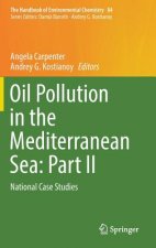 Oil Pollution in the Mediterranean Sea: Part II
