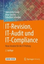 IT-Revision, IT-Audit und IT-Compliance, m. 1 Buch, m. 1 E-Book