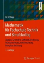 Mathematik fur Fachschule Technik und Berufskolleg