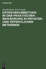 Datenverarbeitung in der praktischen Bewahrung in privaten und oeffentlichen Betrieben