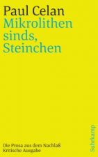 »Mikrolithen sinds, Steinchen«