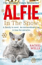 Alfie in the Snow