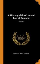 History of the Criminal Law of England; Volume 3