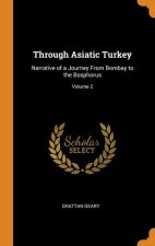 Through Asiatic Turkey