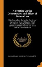Treatise On the Construction and Effect of Statute Law
