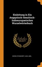 Einleitung in Ein Aegyptisch-Semitisch-Indoeuropaeisches Wurzelwoerterbuch