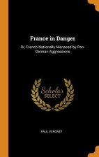 France in Danger