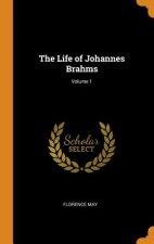 Life of Johannes Brahms; Volume 1