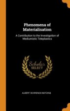 Phenomena of Materialisation