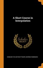 Short Course in Interpolation