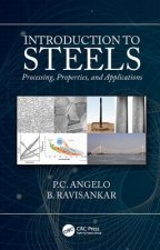 Introduction to Steels