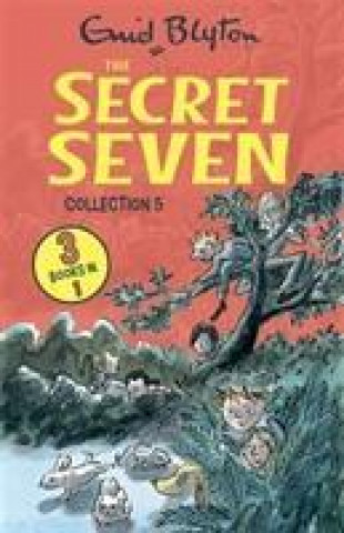 Secret Seven Collection 5