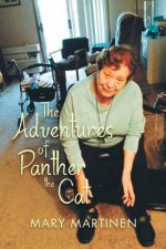 Adventures of Panther the Cat